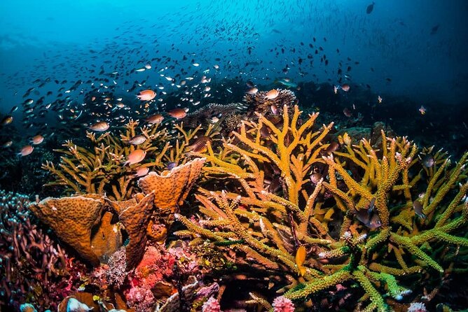 Blue Lagoon, Starfish Adventure, The Rock Restaurant, Spice Tour, Secret Garden