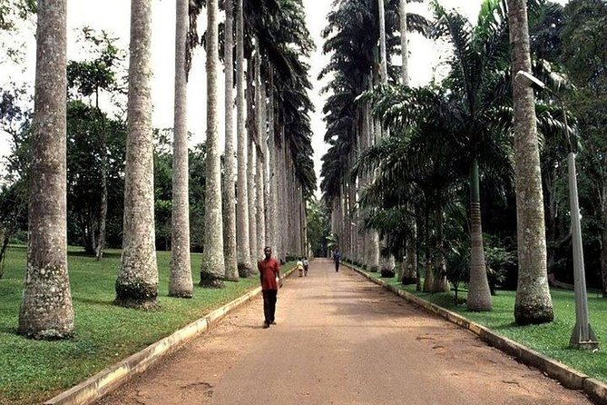 Bonsu Aboretum Canopy, Cocoa Research & Aburi Gardens