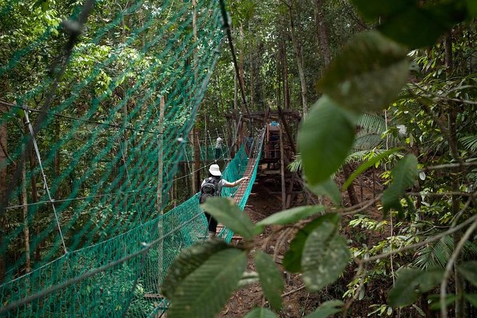 Borneo Tropical Rainforest Tour - Meeting and Pickup Information