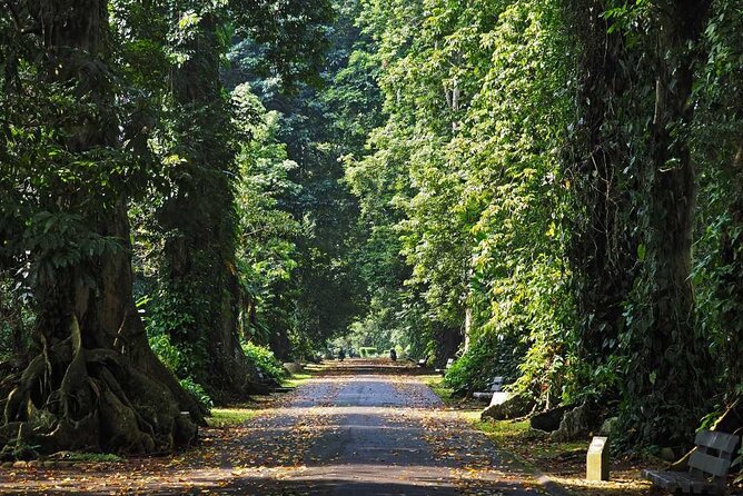 Botanical Garden And Miniature Park Of Indonesia Tour