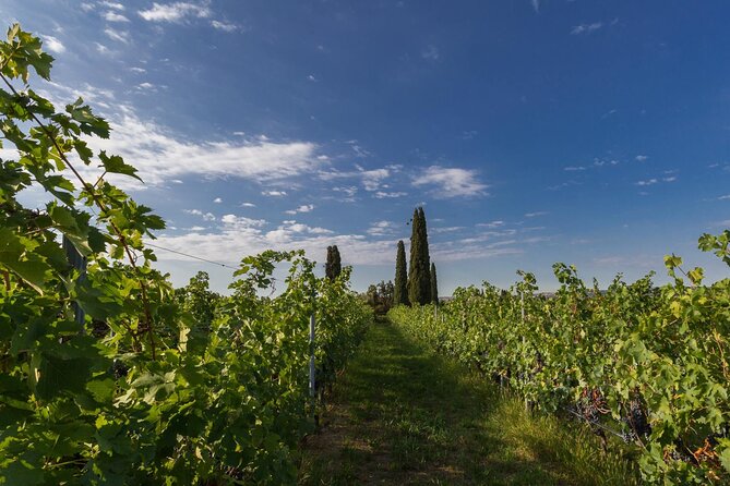 Boutique Winery Tour & Tasting in Valpolicella - Location and Accessibility
