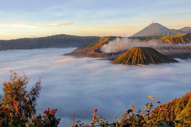 Bromo Sunrise Tour 2 Days 1 Private Tour - Accommodation and Meals
