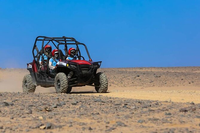 Buggy Car Safari Adventure From Marsa Alam - What To Expect