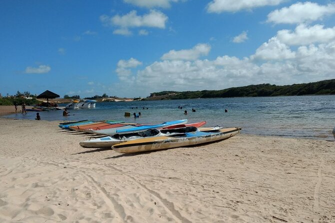 Buggy Tour To Pipa Beach - South Coast - Inclusions of the Tour