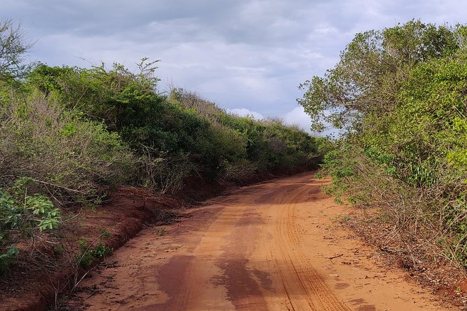 Bundala National Park Private Safari With Naturalist - Tour Accessibility Information