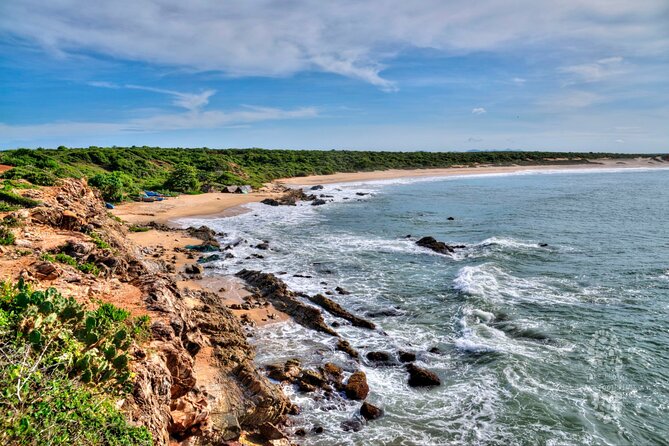 Bundala National Park Safari From Bentota - Additional Information
