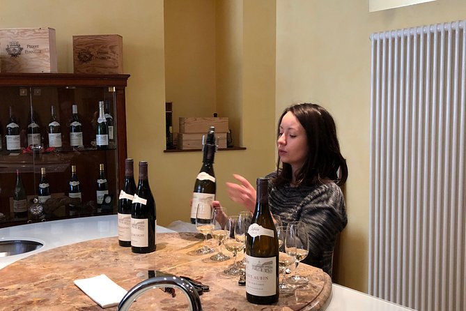 BURGUNDY : Wine Tasting & Visits- Private Day Trip From Paris - What To Expect