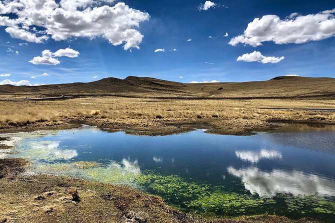Bus From Puno to Chivay With Stops - Meeting and Pickup Details