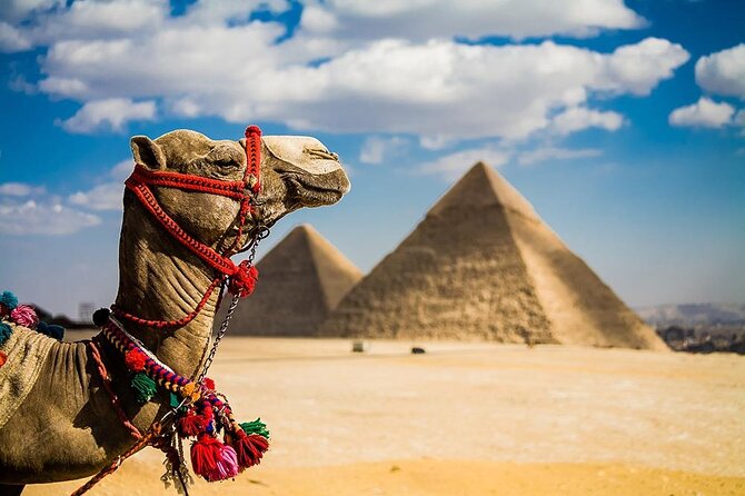 Bus Tour to the Pyramids With Tickets From Sharm El Sheikh - Pickup Details