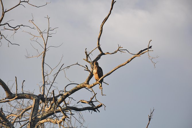 Butterfly Trail (11 Days) - Itinerary Highlights