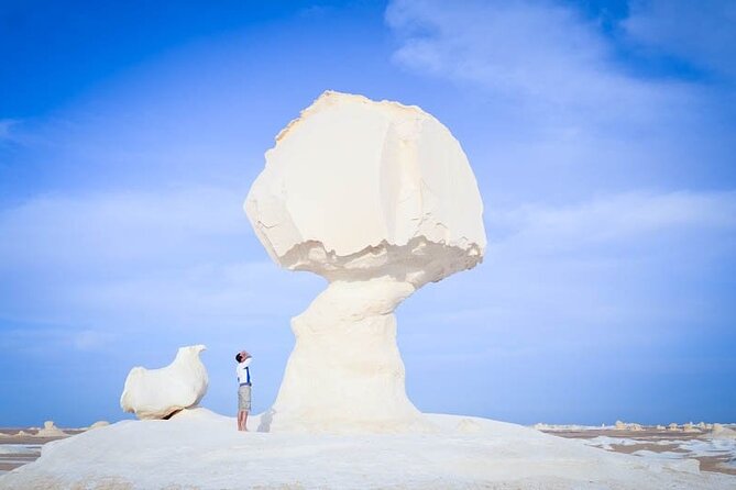 Cairo : Marvel the Camping in the White & Black Deserts & Cairo Private Transfer - Pickup and Drop-off Details