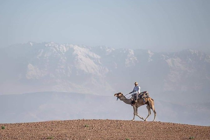 Camel Excursion on the Road to Ourika From Marrakech - Whats Included in the Tour