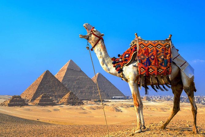 Camel & Horse Ride at the Great Giza Pyramids - Pickup Information