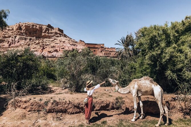 Camel Ride Day Trip in Atlas Mountains and Three Valleys Marrakech - Inclusions