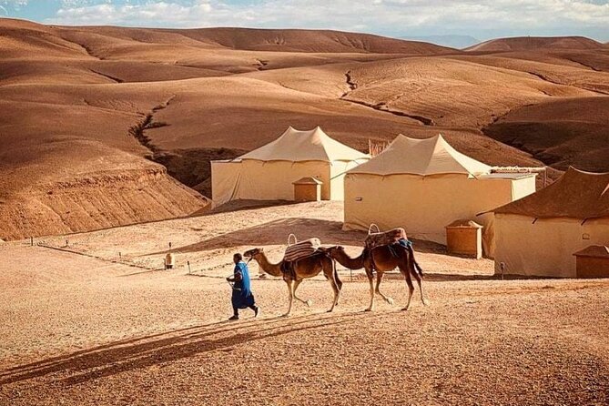 Camel Ride in Agafay Desert From Marrakech - Pickup Points and Details