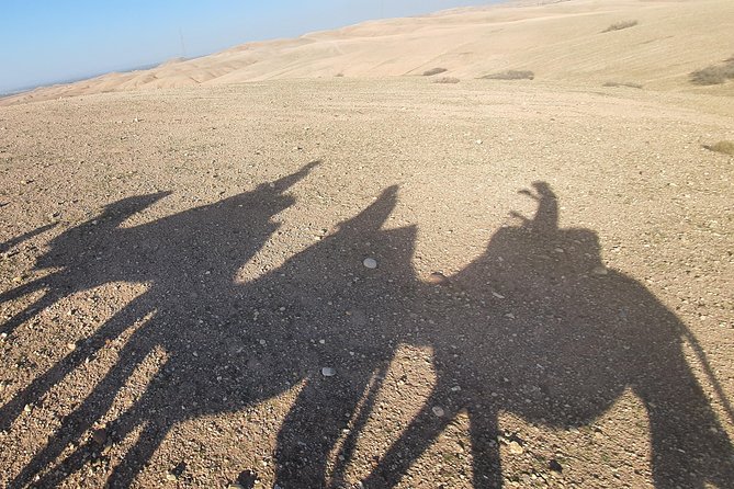 Camel Ride in Agafay Desert Private Tour - Reviews