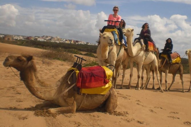 Camel Ride on the Beach of Essaouira - Location Details