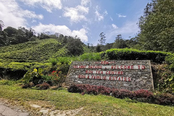 Cameron Highlands Full-Day Tour - Important Information for Participants