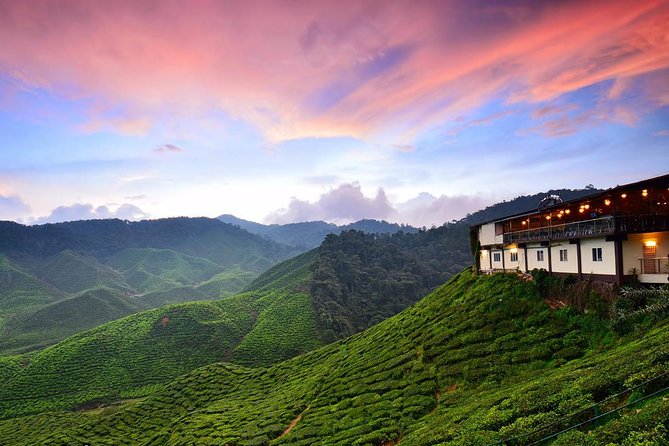 Cameron Highlands Full-Day Trip - Trip Overview