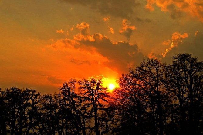 Camping in Chopta - 1 Night - Camping Location and Accommodation