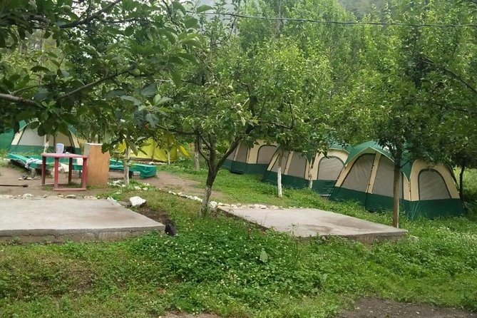 Camping in Kasol - Location and Setting