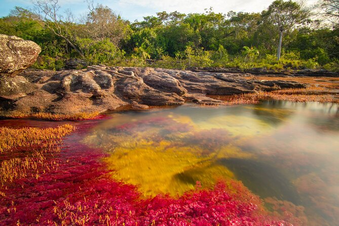 Caño Cristales Private 3-Day Trekking Tour From Bogota - Itinerary Highlights