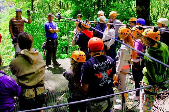 Canopy Adventure From Monteverde - Highlights: Aerial Views, Wildlife Spotting, Safety