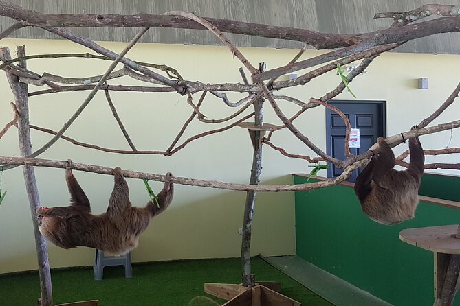 Canopy in Gamboa and Visit to the Sloth Sanctuary - Location Details