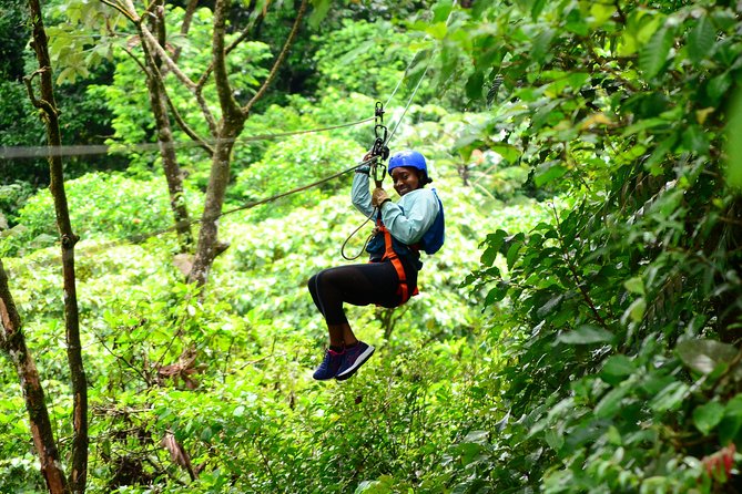 Canopy Tour + Tarzan Swing + Night Walk - What to Expect on the Tour