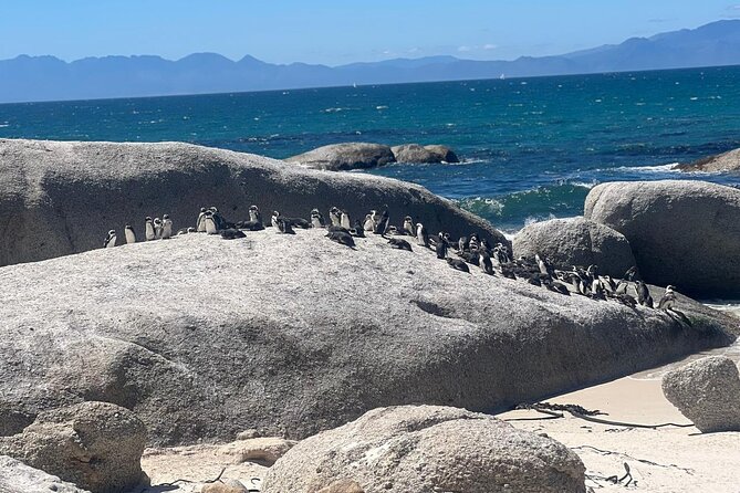 Cape of Good Hope and Boulder's Beach Penguins Private Day Tours - Included Amenities