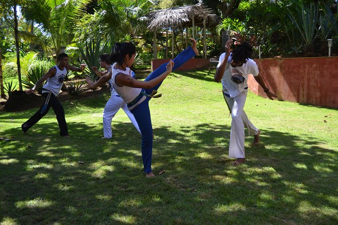 Capoeira Camp Salvador Da Bahia (2 Weeks)