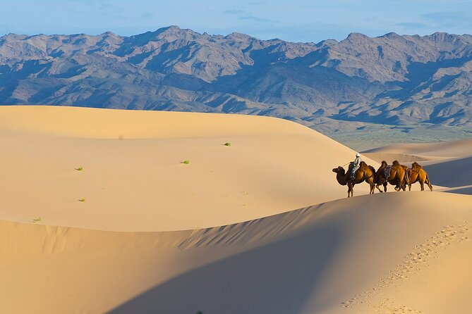 Captivating Central Mongolia With Guide