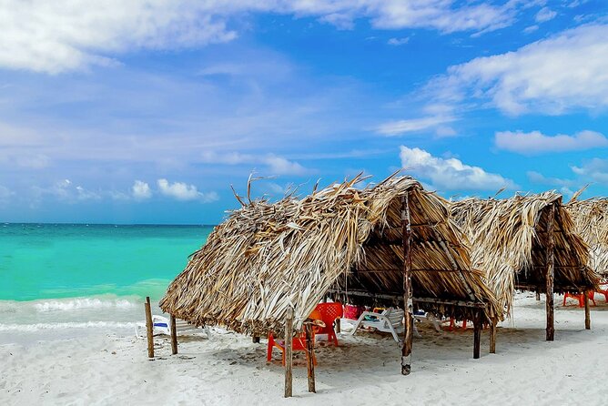 Cartagena: Horseback Riding Along The Beach (Dont Overpay) - Training Experience