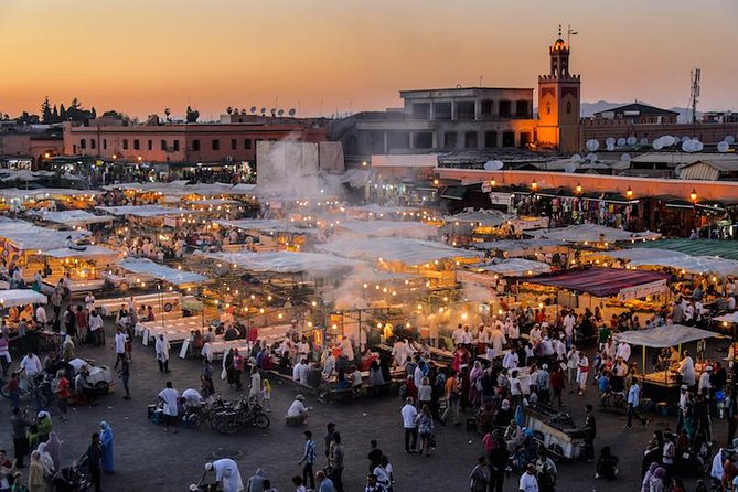Casablanca To Marrakech Private VIP Day Trip With Camel Ride - Local Guide Information