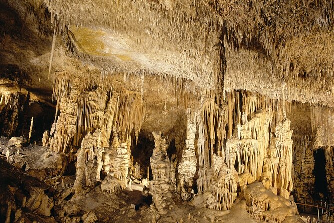 Caves Drach Tour & Return Transfer From Cala Dor-Calas Mallorca - What to Expect