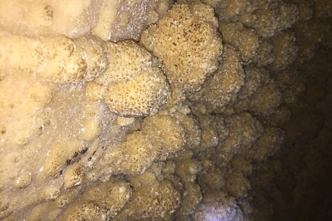 Caving Tour & Hiking at Barra Honda National Park - Location Details