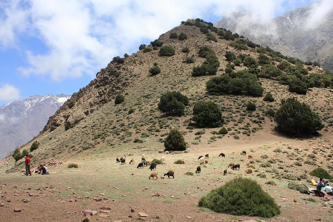 Challenging Day Trek From Marrakech To Atlas Mountains and Berber Villages - Tour Inclusions and Exclusions