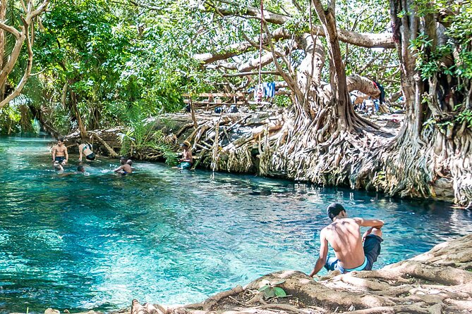 Chemka Hotsprings and Serval Wildlife Private Day Trip