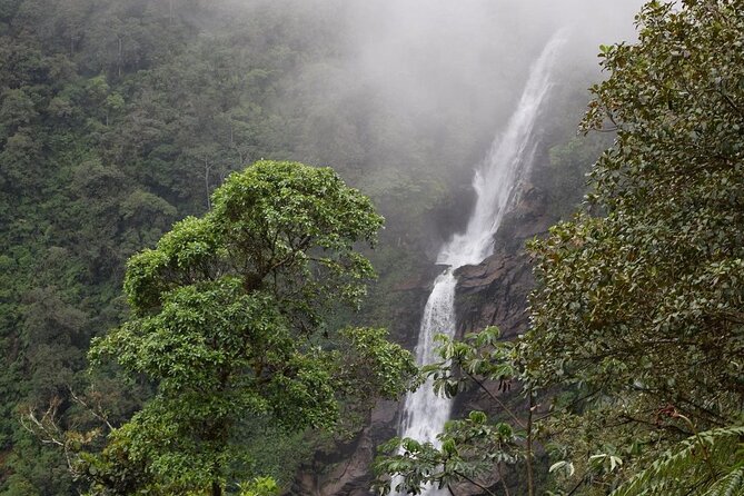 Chilasco Waterfall: a Natural Wonder in the Cloud Forest- Tour From Coban