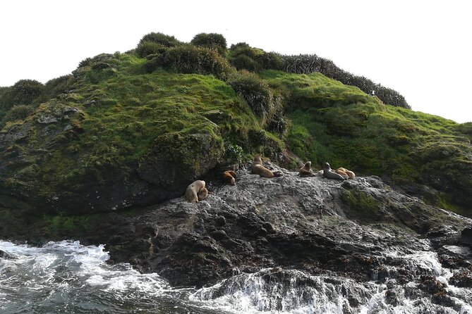 Chiloé for the Day: Ancud and Puñihuil, PRIVATE - Pickup and Start Time Details