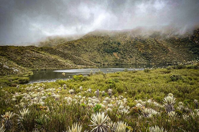 Chingaza National Park Hiking Private Tour (8 Hrs.) - Inclusions