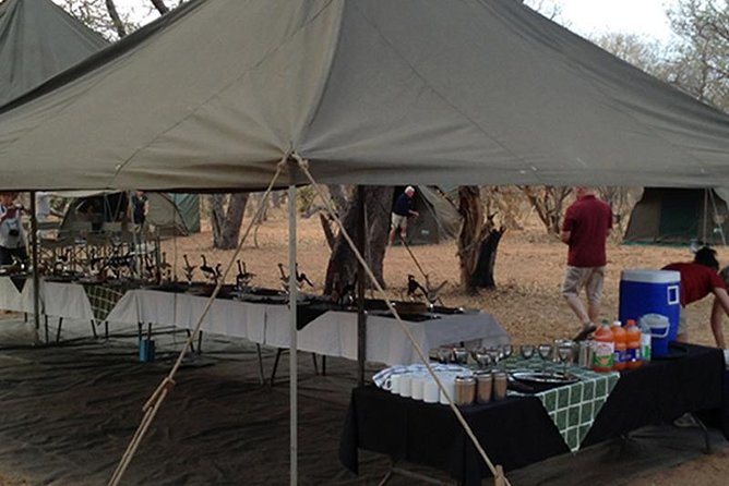 Chobe National Park Camping Safari From Victoria Falls (1 Day and 1 Night) - Tour Highlights