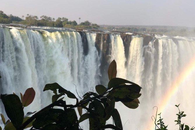 Chobe National Park Safari Day Trip From Vic Falls - Inclusions and Exclusions
