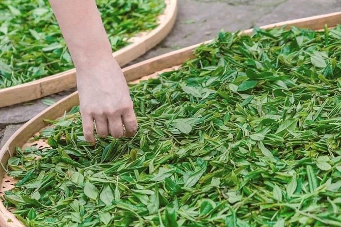 Classic Hangzhou Day Tour Plus Tea Plantation Exploration - Itinerary Highlights
