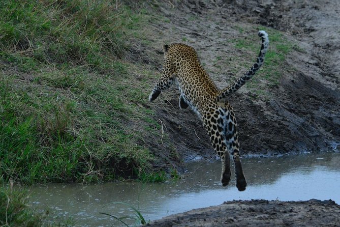 Classic Kenya Explore Safari 2022