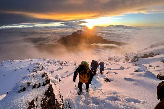 Climb Marangu 5 Days With Big Discount - Included Services and Amenities
