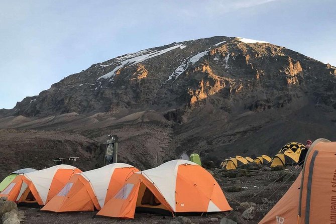 Climbing Mount Kilimanjaro Machame Route - 7 Days Tour - Cancellation Policy