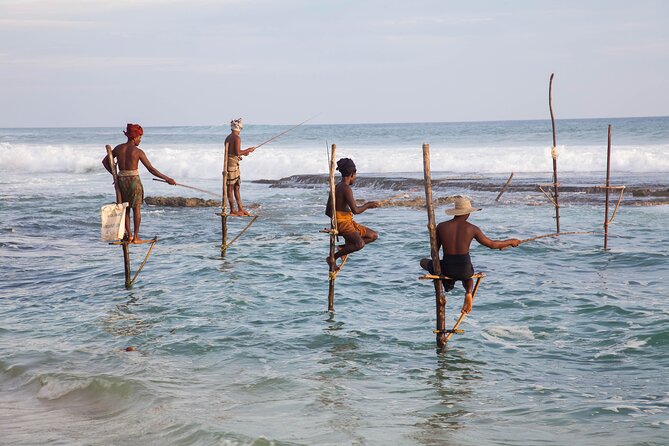 Coastal Ride to Galle From Balapitiya - Operator Information