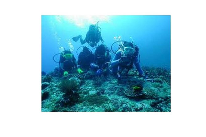 Coasteering Experience in Arrábia - Inclusions