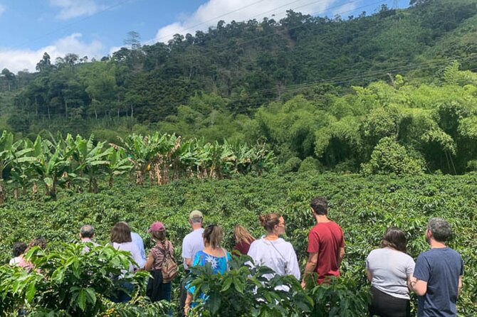 Cocoa (Chocolate) and Coffee Tours From Pereira or Armenia - Meeting and Pickup